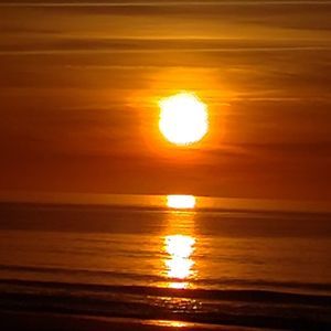 Meet your Posher, Sue ann